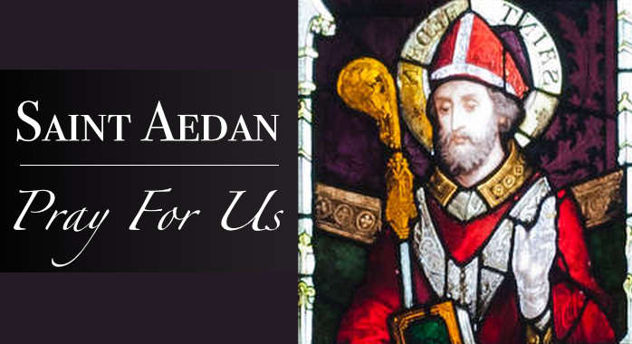 Saint Aedan of Ferns