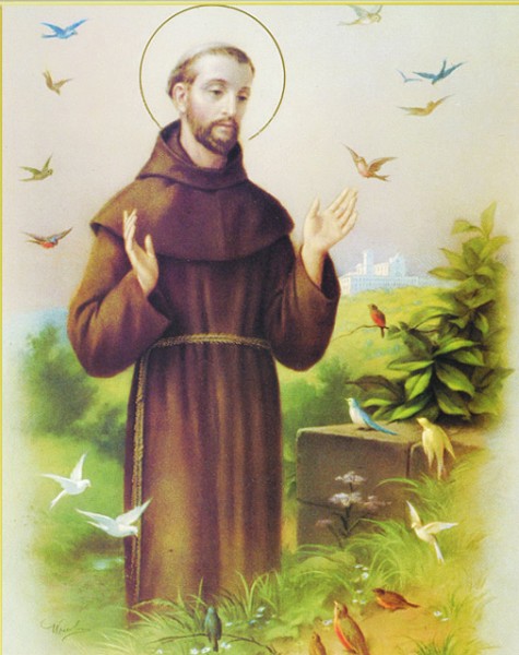 St. Francis Large Poster - Multi-Color