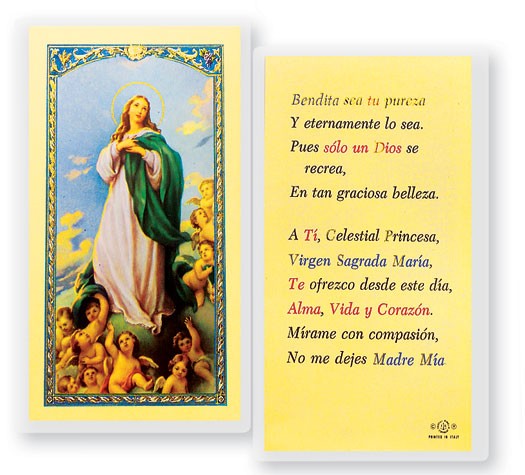 Oracion A La Virgen Maria Laminated Spanish Prayer Card - 25 Cards Per Pack .80 per card