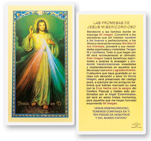 Promesas Jesus Misericordioso Laminated Spanish Prayer Card - 25 Cards Per Pack .80 per card