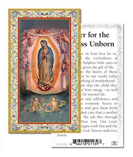 Prayer For The Helpless Unborn Prayer Cards 100 Pack - Multi-Color