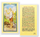 Oracion A San Lazaro Laminated Spanish Prayer Card