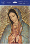 Our Lady of Guadalupe Print - Sold in 3 per pack