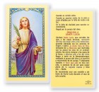 Oracion A Santa Lucia Laminated Spanish Prayer Card