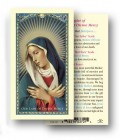 Chaplet of Our Lady of Divine Laminated Prayer Card