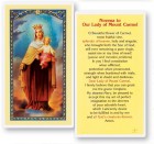 Novena To Our Lady of Mt. Carmel Laminated Prayer Card