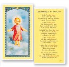 Daily Offering To Infant Jesus Laminated Prayer Card