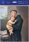 St. Anthony Print - Sold in 3 per pack