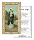 St. Brigid Prayer Cards 100 Pack