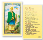 St. Patrick Hail Glorious Saint Laminated Prayer Card