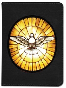 Holy Spirit with Stained Glass Catholic Bible [NGB001]