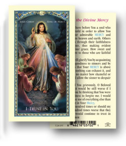 Jesus Christ King of Mercy Laminated Prayer Card [HPR197]