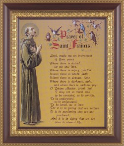 Prayer of St. Francis 8x10 Framed Print Under Glass [HFP311]