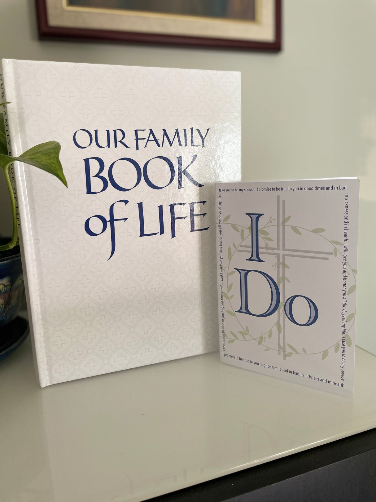 Our Family Book of Life