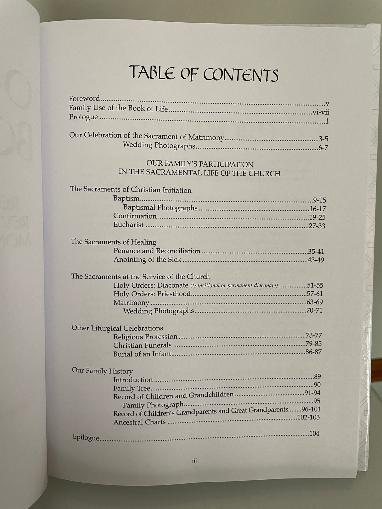 Our Family Book of Life