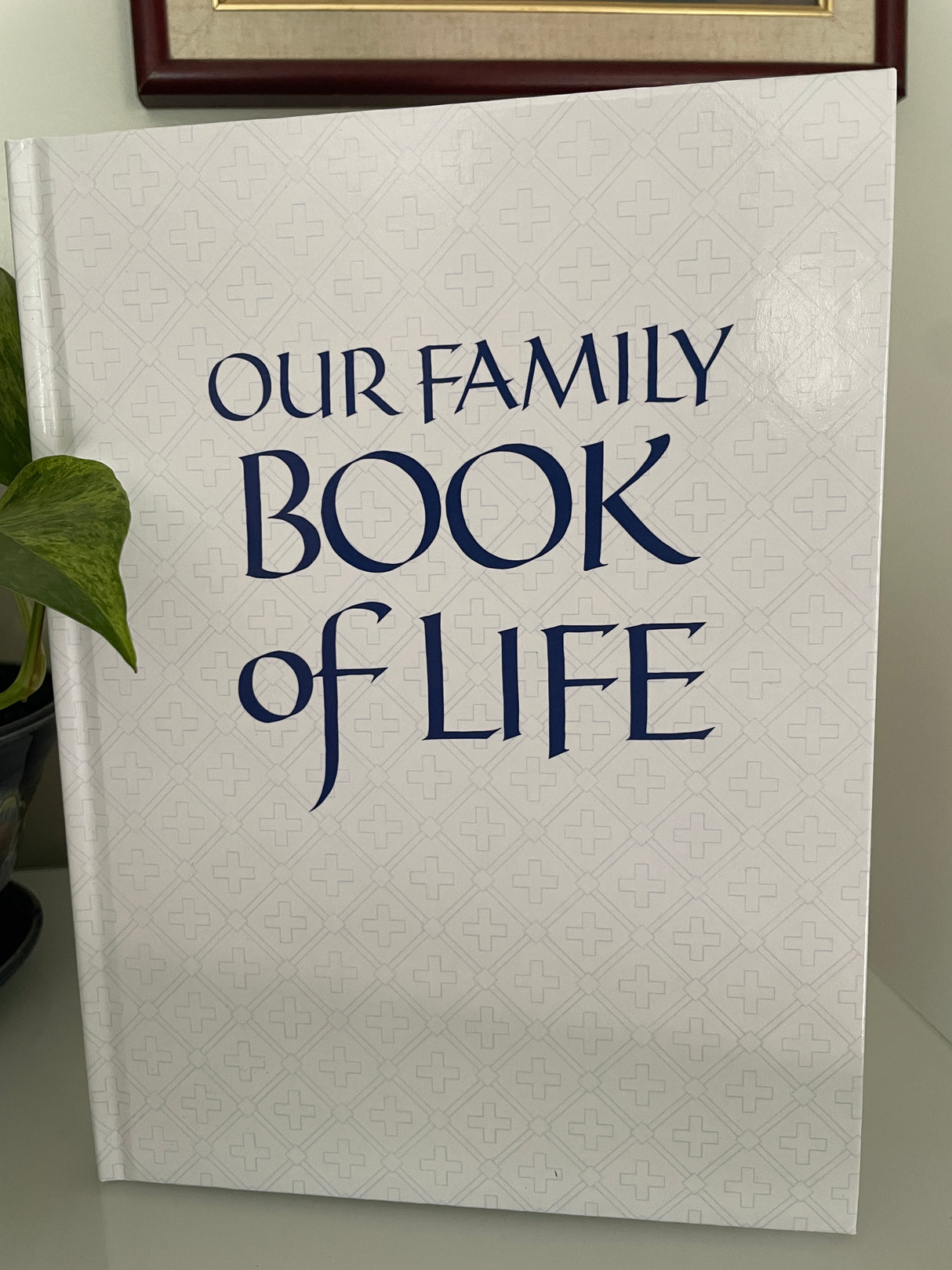 Our Family Book of Life