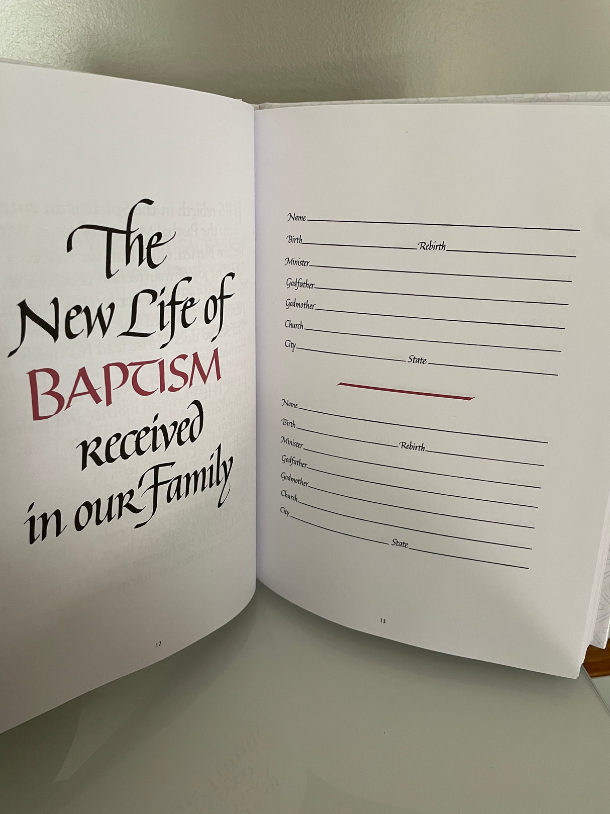 Our Family Book of Life