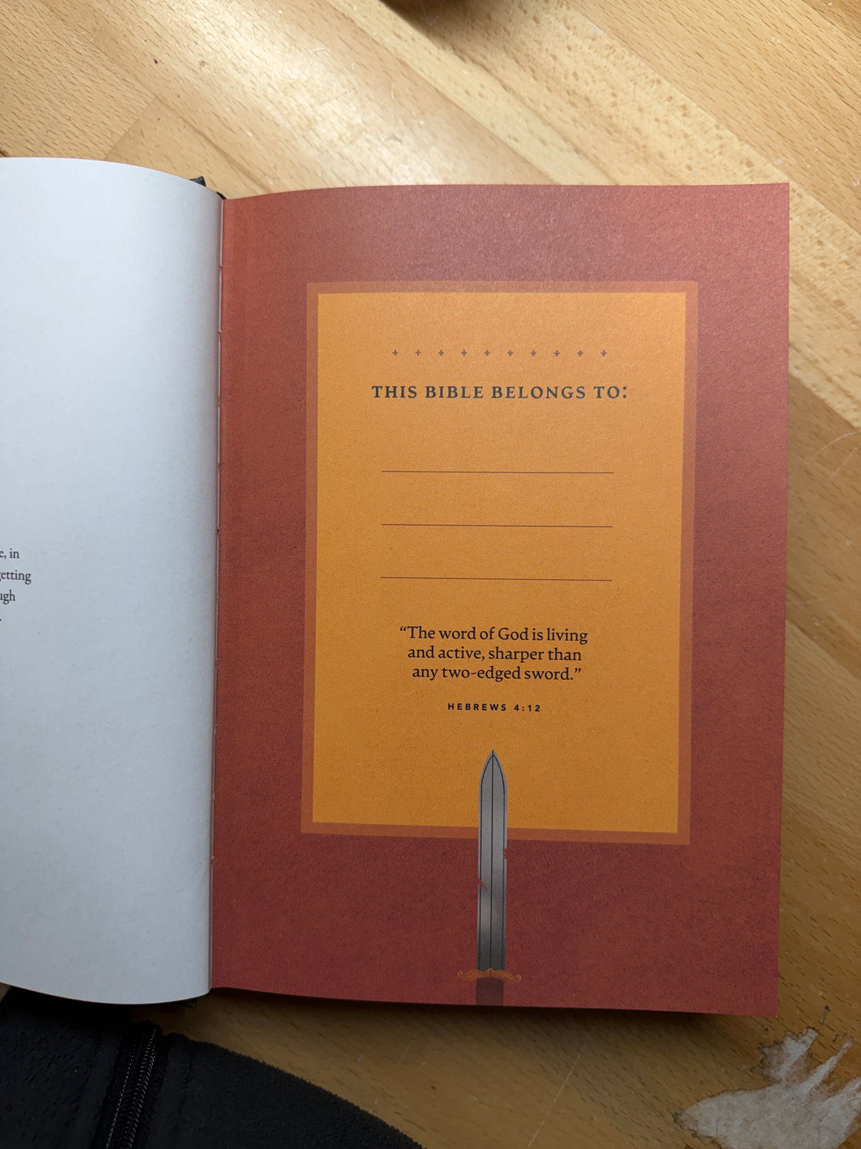 The Story of All Stories: A Catholic Bible for the Next Generation