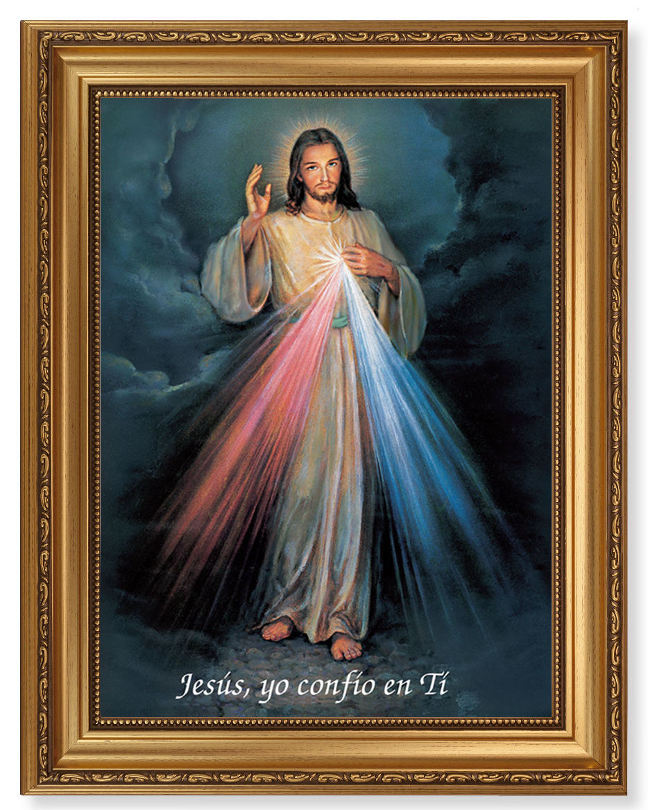 Divine Mercy in Spanish 12x16 Framed Print Artboard