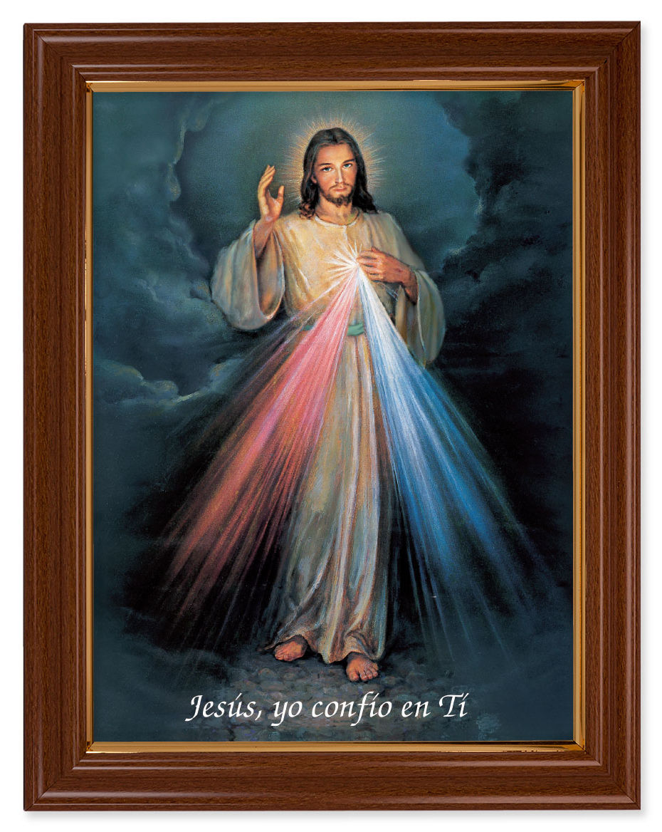 Divine Mercy in Spanish 12x16 Framed Print Artboard