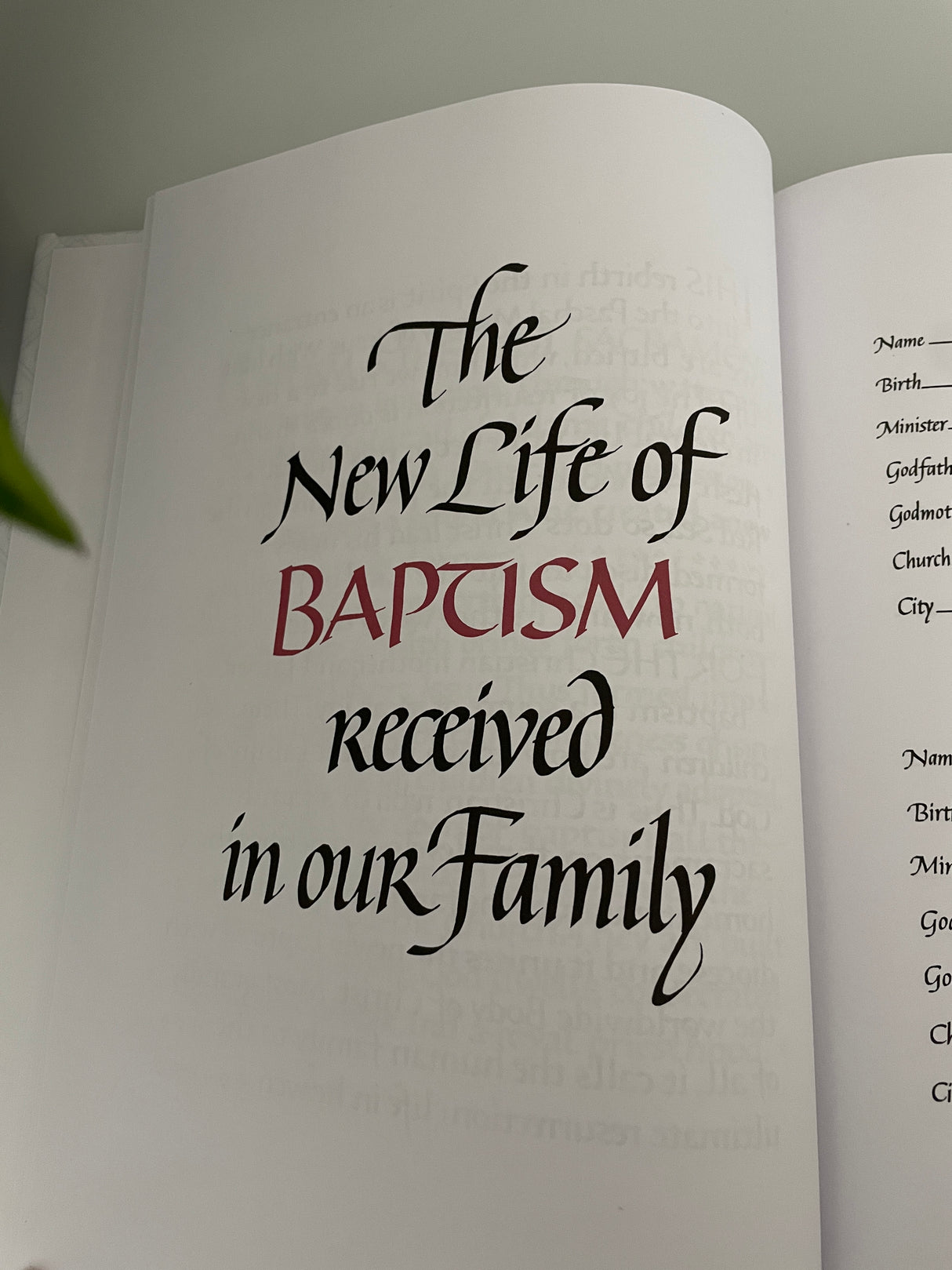 Our Family Book of Life