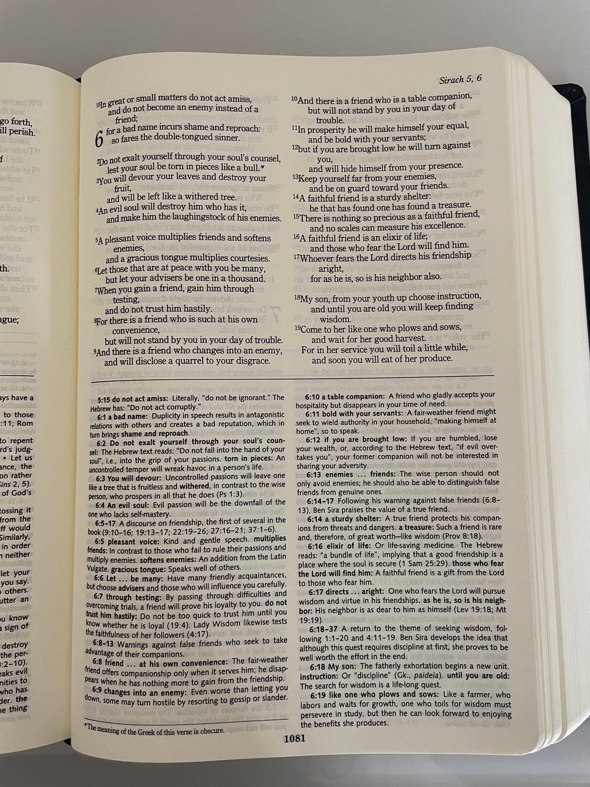 Ignatius Catholic Study Bible - Leather Cover