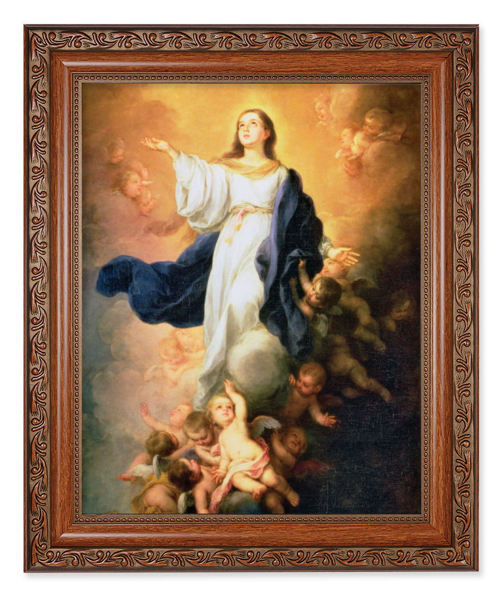 Immaculate Conception Prayer Hands 8x10 Framed Print Under Glass