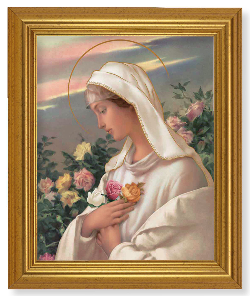 Mystical Rose 8x10 Framed Print Under Glass