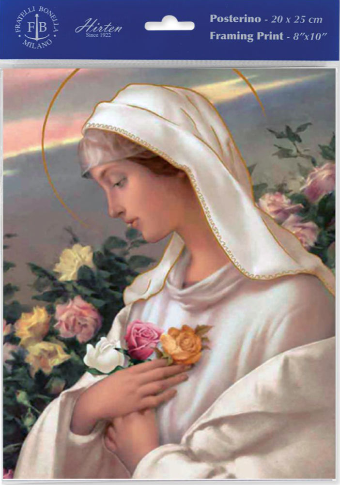 Mystical Rose Madonna Print - Sold in 3 per pack