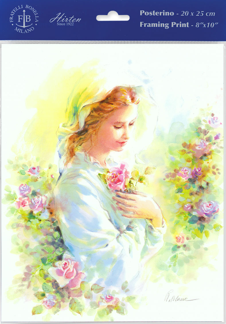 Mystical Rose by Blanc Print - Sold in 3 Per Pack