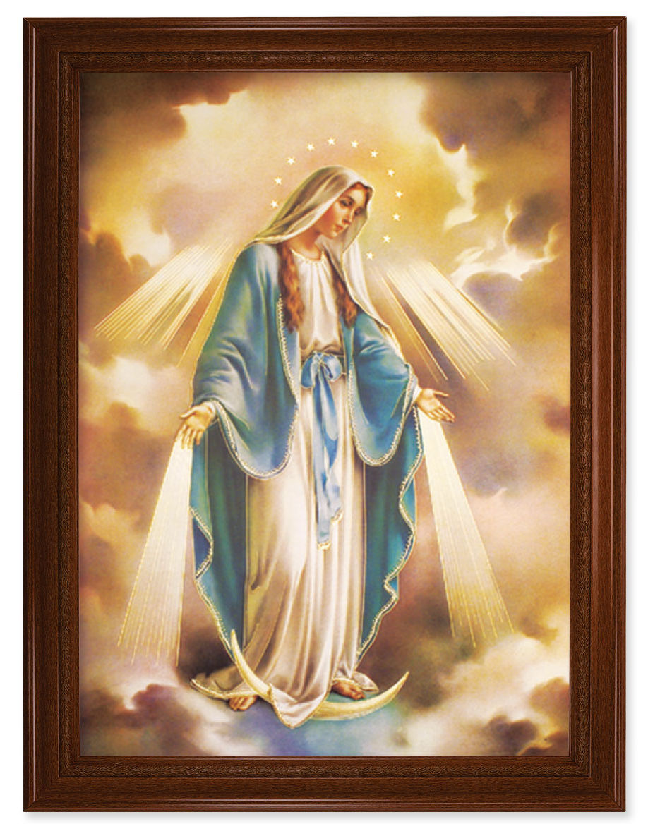 Our Lady of Grace 19x27 Framed Print Artboard