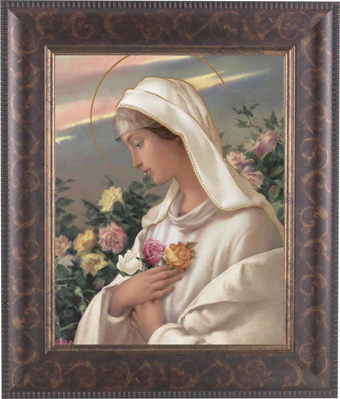 Mystical Rose 8x10 Framed Print Under Glass