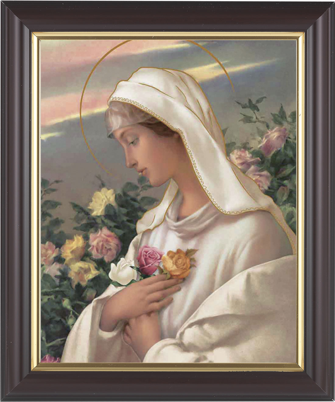 Mystical Rose 8x10 Framed Print Under Glass