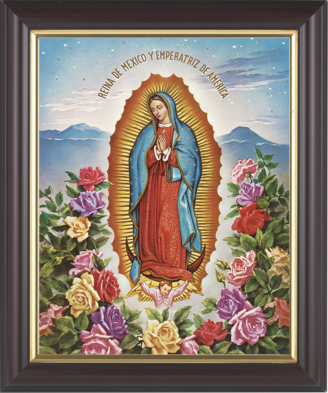Our Lady of Guadalupe 8x10 Framed Print Under Glass