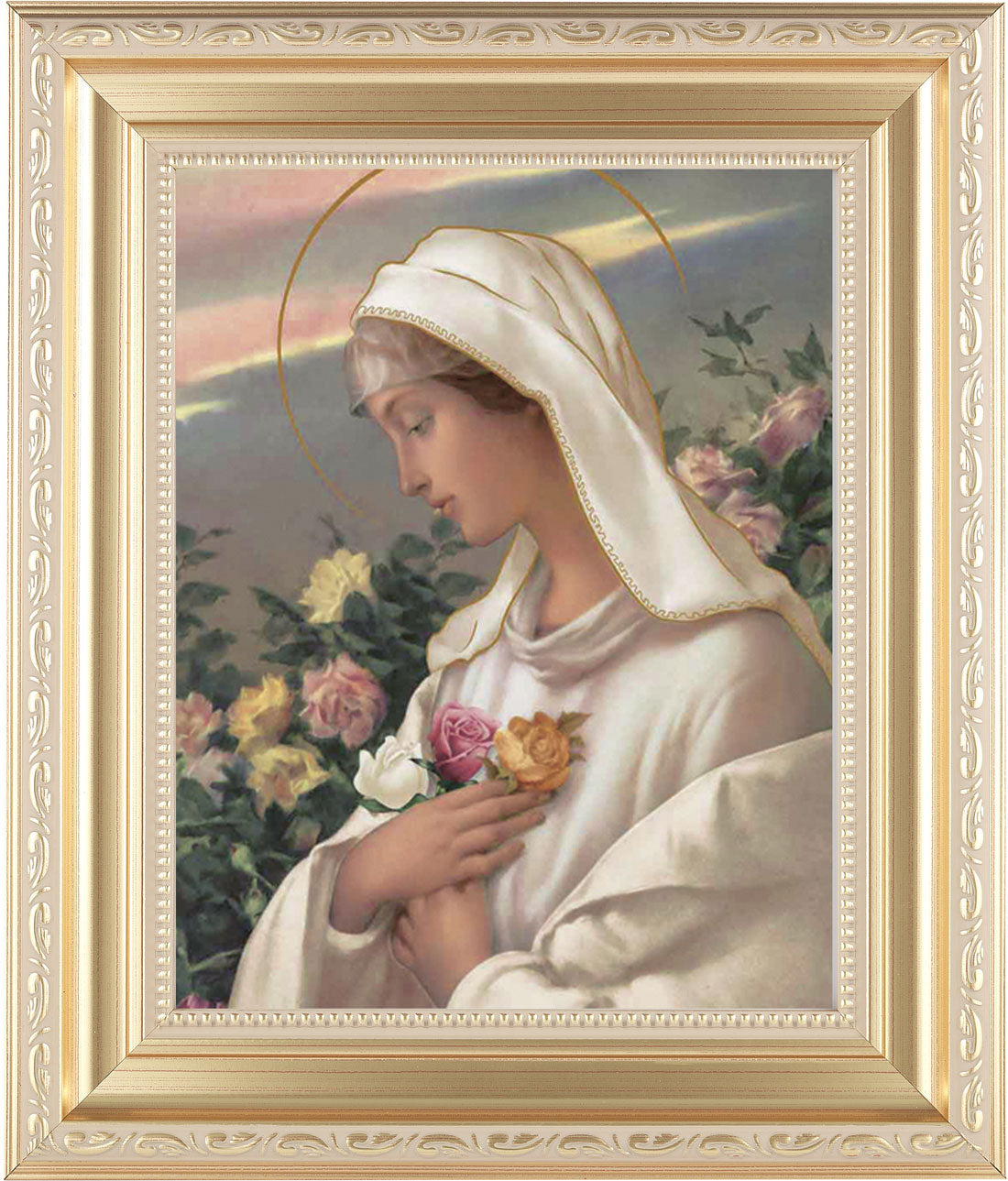 Mystical Rose 8x10 Framed Print Under Glass