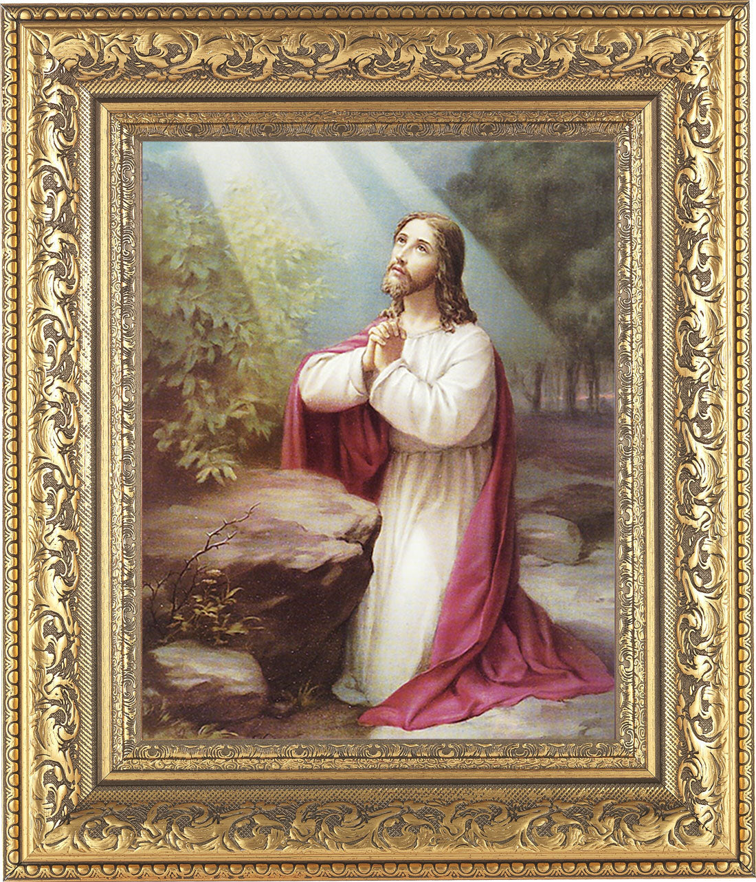 Jesus at the Mount of Olives 8x10 Framed Print Under Glass