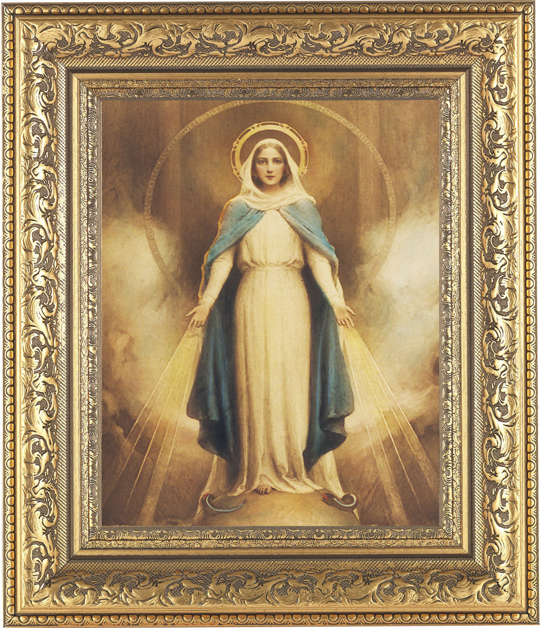 Miraculous Mary 8x10 Framed Print Under Glass
