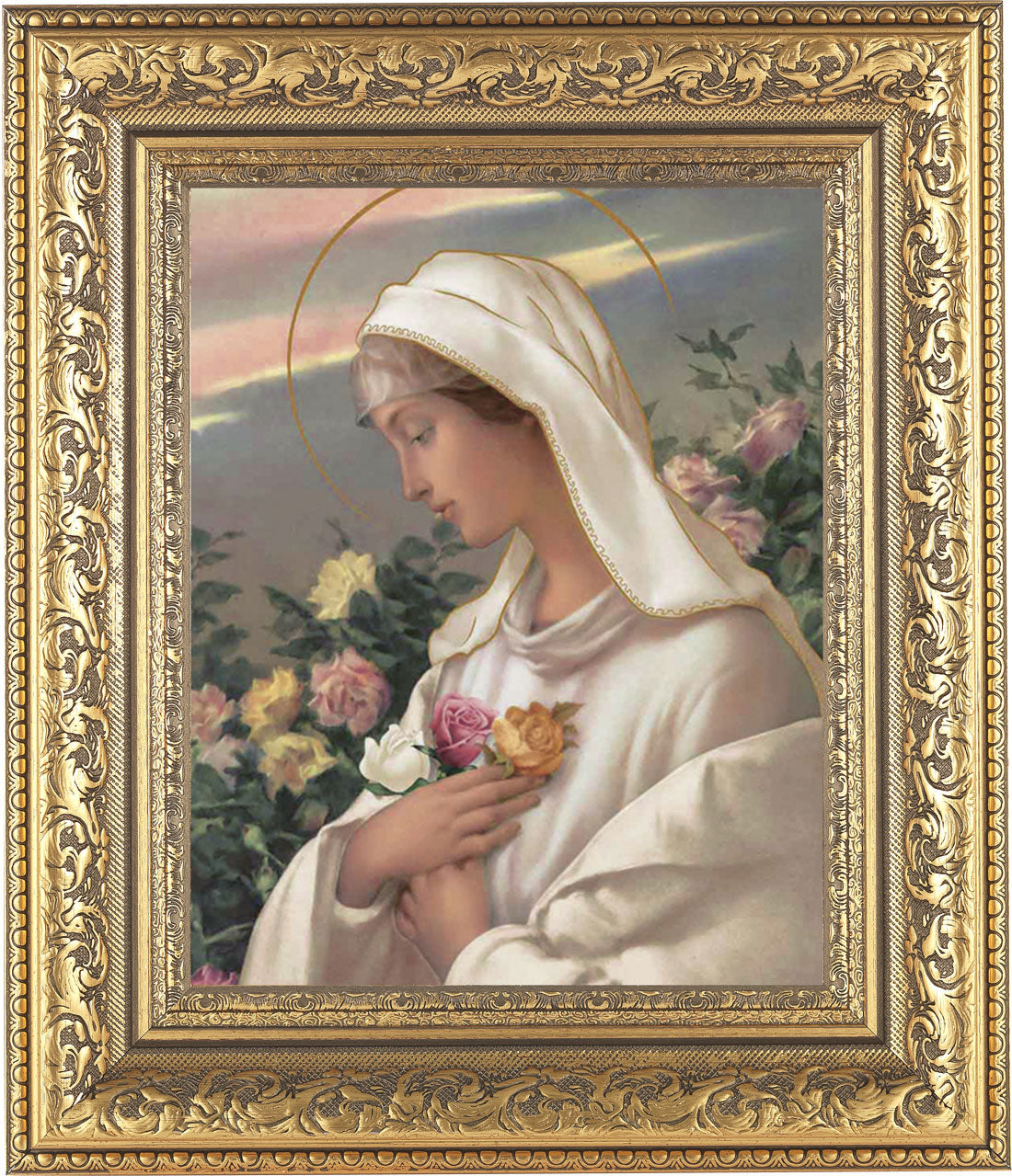 Mystical Rose 8x10 Framed Print Under Glass