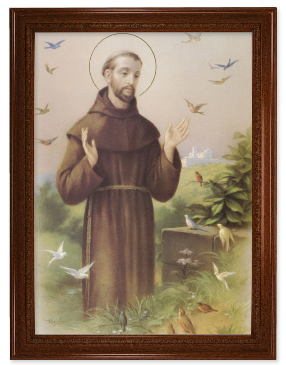 Saint Francis with Birds 19x27 Framed Print Artboard