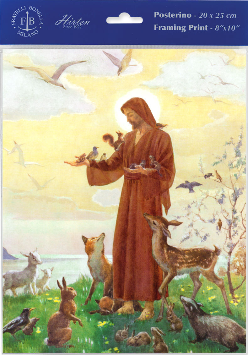 Saint Francis Illustrated Print - Sold in 3 Per Pack