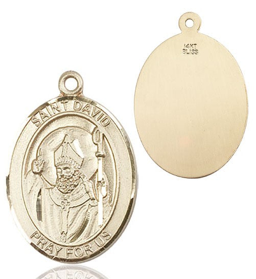 St. David of Wales Medal