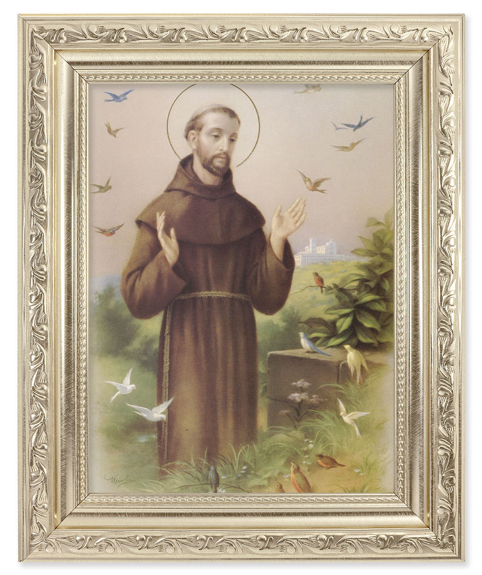 St. Francis of Assisi 6x8 Print Under Glass
