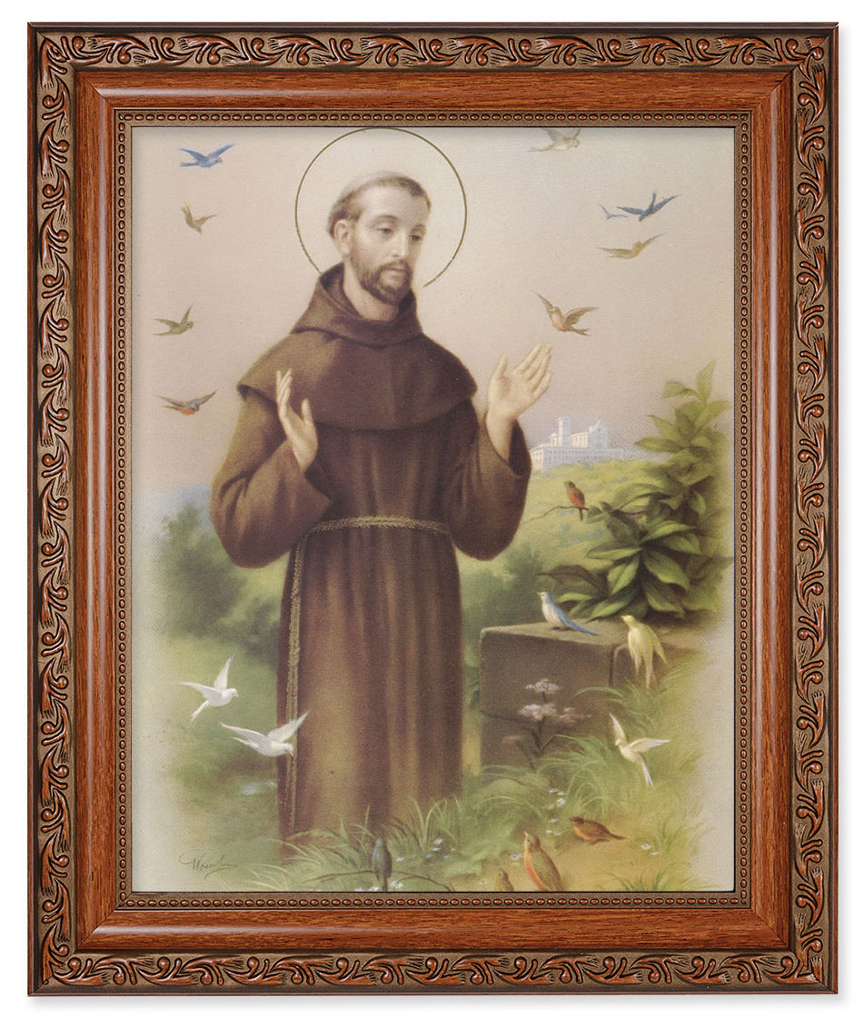 St. Francis of Assisi 8x10 Framed Print Under Glass