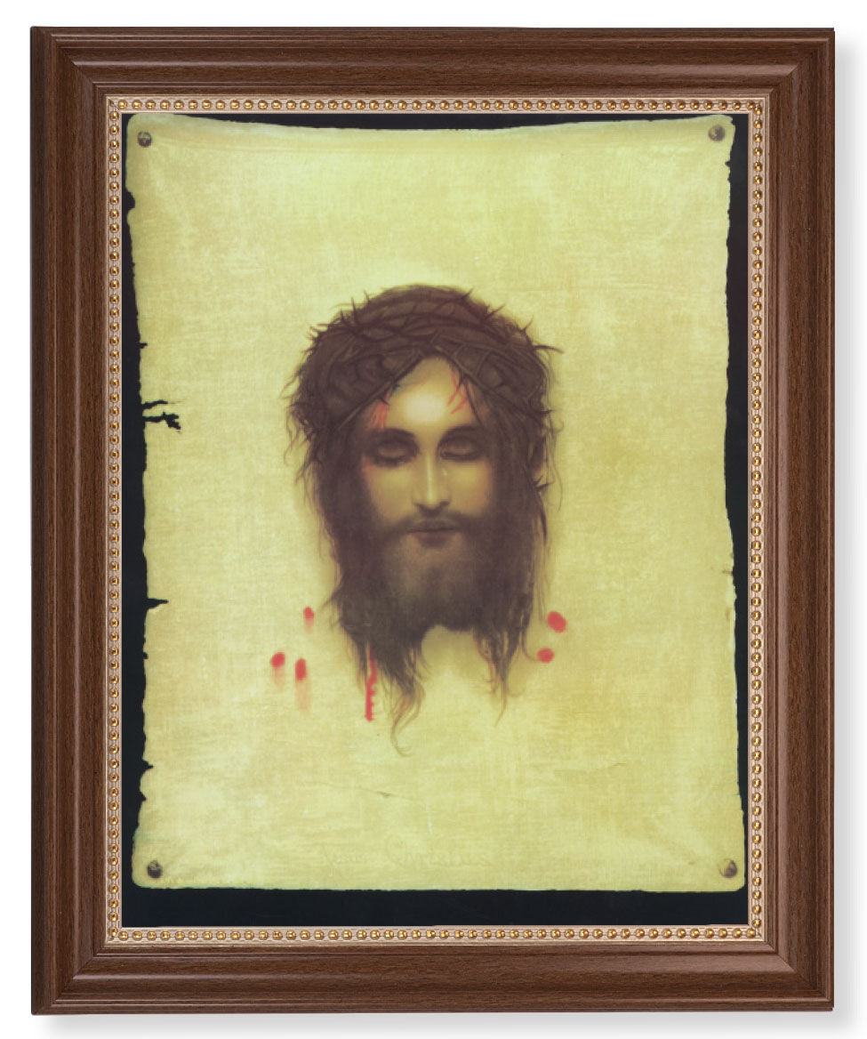 Veronica's Veil 11x14 Framed Print Artboard