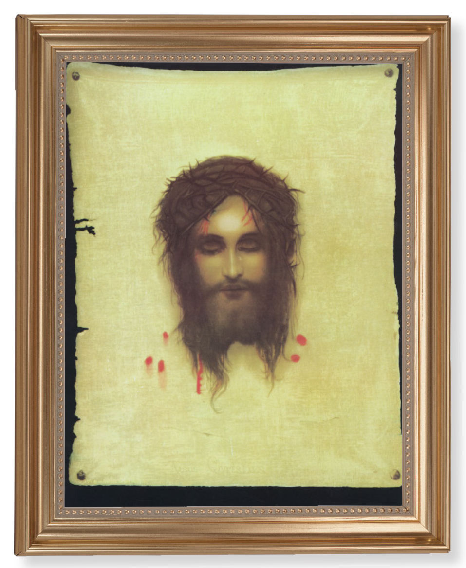 Veronica's Veil 11x14 Framed Print Artboard