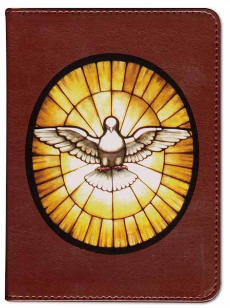 Holy Spirit with Stained Glass Catholic Bible - Burgundy