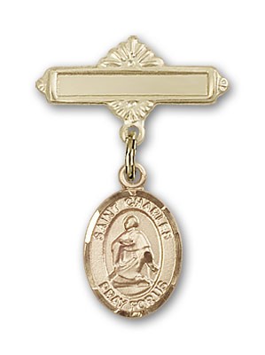 Pin Badge with St. Charles Borromeo Charm and Polished Engravable Badge Pin - Gold Tone