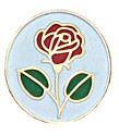 Rose Pin - Multi-Color