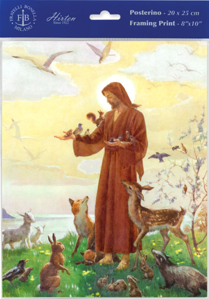 Saint Francis Illustrated Print - Sold in 3 Per Pack - Multi-Color