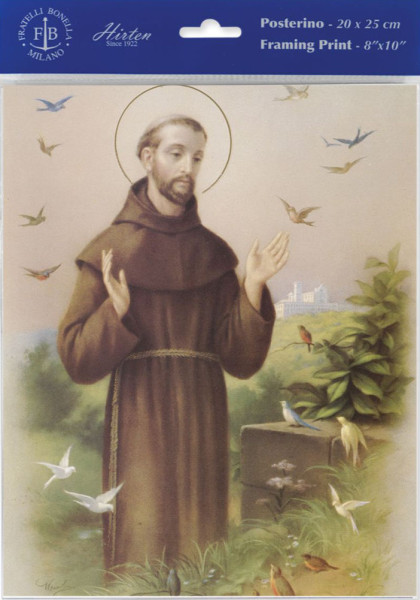 St. Francis Print - Sold in 3 per pack - Multi-Color